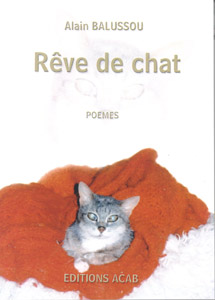 Rêve de Chat